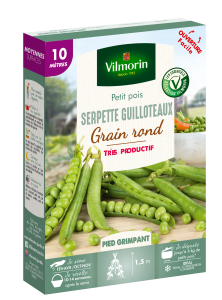 Pois Grimpant à Grain Rond Serpette Guilloteaux - 10 m